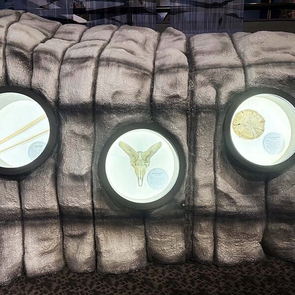 An ice patch exhibit at the Draper Natural History museum shares human-made objects, animal remains, and other items from the past.