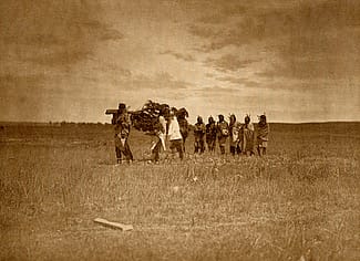 "Bringing the Cedar - Arikara." Photogravure facing page 82, from Edward S. Curtis' The North American Indian, Vol. 5, 1909. Call number RB TR647.C87 1909. McCracken Research Library.