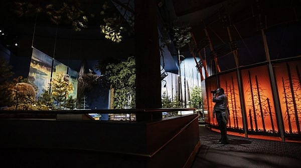 BuffaloBillCenter_031