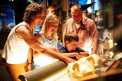 A family enjoys looking at museum displays
