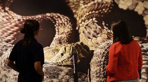 BuffaloBillCenter_137