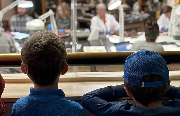 Young students looking through the window of the Draper Museum lab, watching volunteers process new bone specimens.