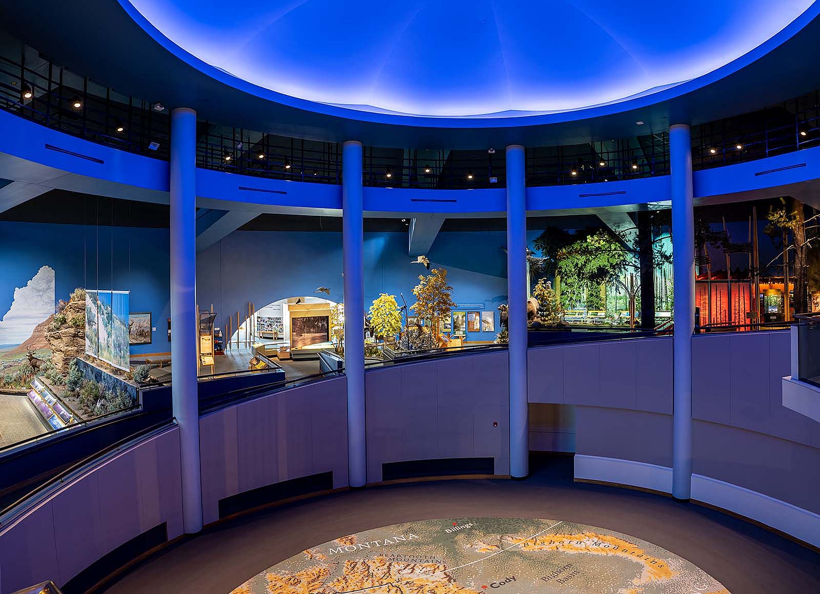 Draper Natural History Museum showing incline of ramp.