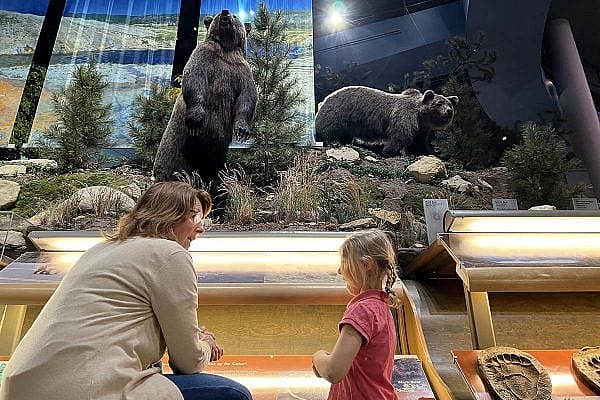 Exclusive Tours guide Dana with a young visitor by the grizzly bear exhibition in the Draper Natural History Museum.