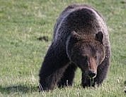 Explore the Draper Natural History Museum Explore the Draper Natural History Museum