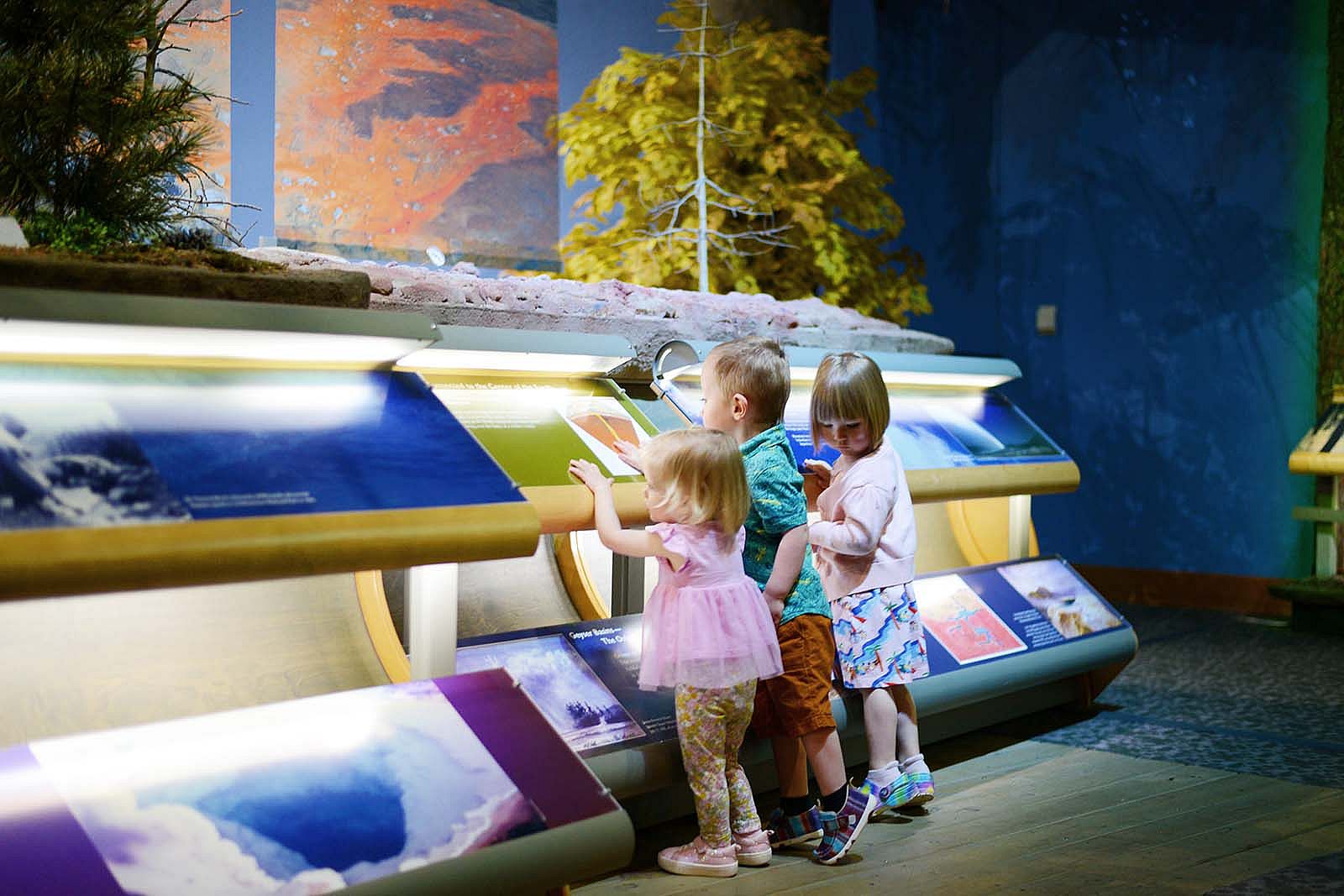 Kids looking at a display in the Draper Natural History Museum.