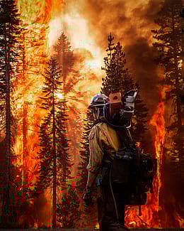 Firefighter wearing a backpack, with chain saw on shoulder looks toward burning trees. Kyle Miller photograph.