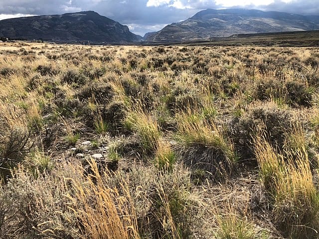 Overview of the Paul Stock Nature Trail, photograph by Becky Moore. 