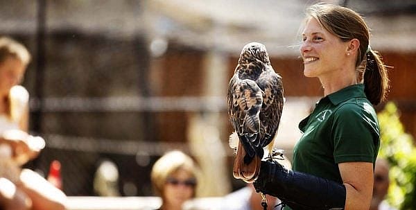 Draper Museum Raptor Experience