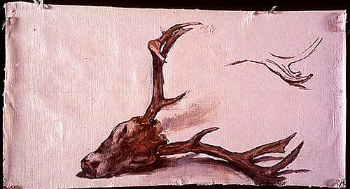 Sketch - Deer Head