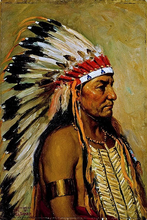Oglala Fire (Chief)