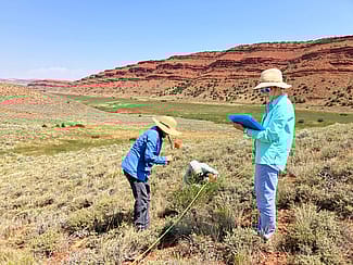 Scientists monitor the spread of cheatgrass at Red Canyon Ranch, a Nature Conservancy preserve near Lander, Wyoming. © Corinna Riginos/TNC