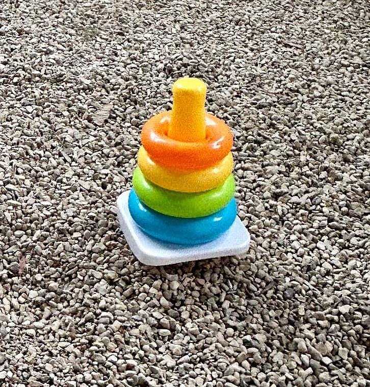 Stackable rings make an enrichment activity for the raven.