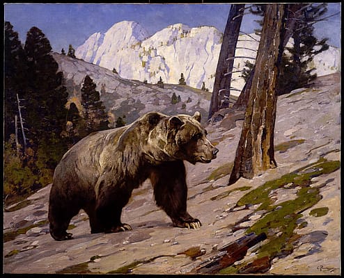 Silver Tip Grizzly Bear -- Rocky Mountains, Alberta- Rungius, Carl- oil on canvas 16.93.4