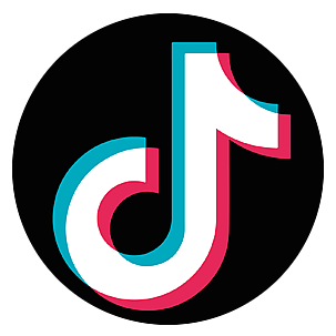 TikTok Logo